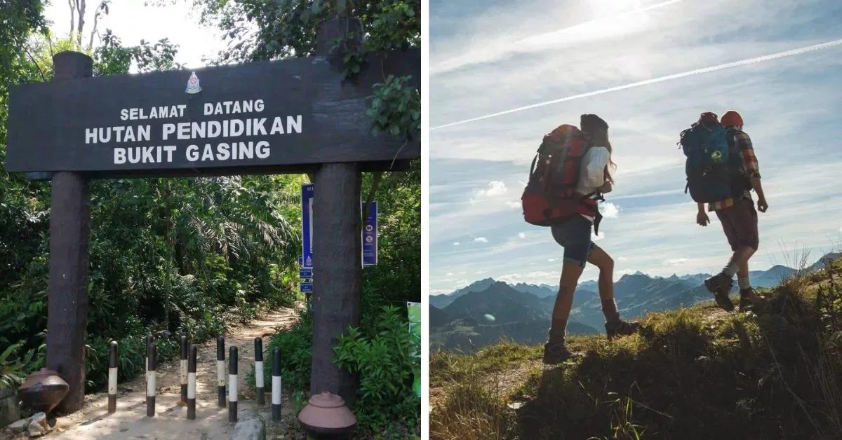 bukit gasing