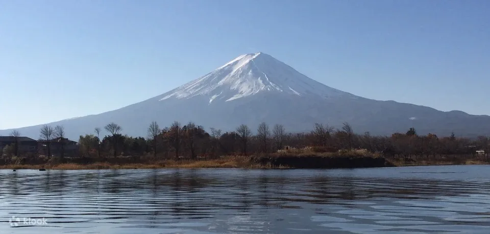 Take a day tour to Mount Fuji